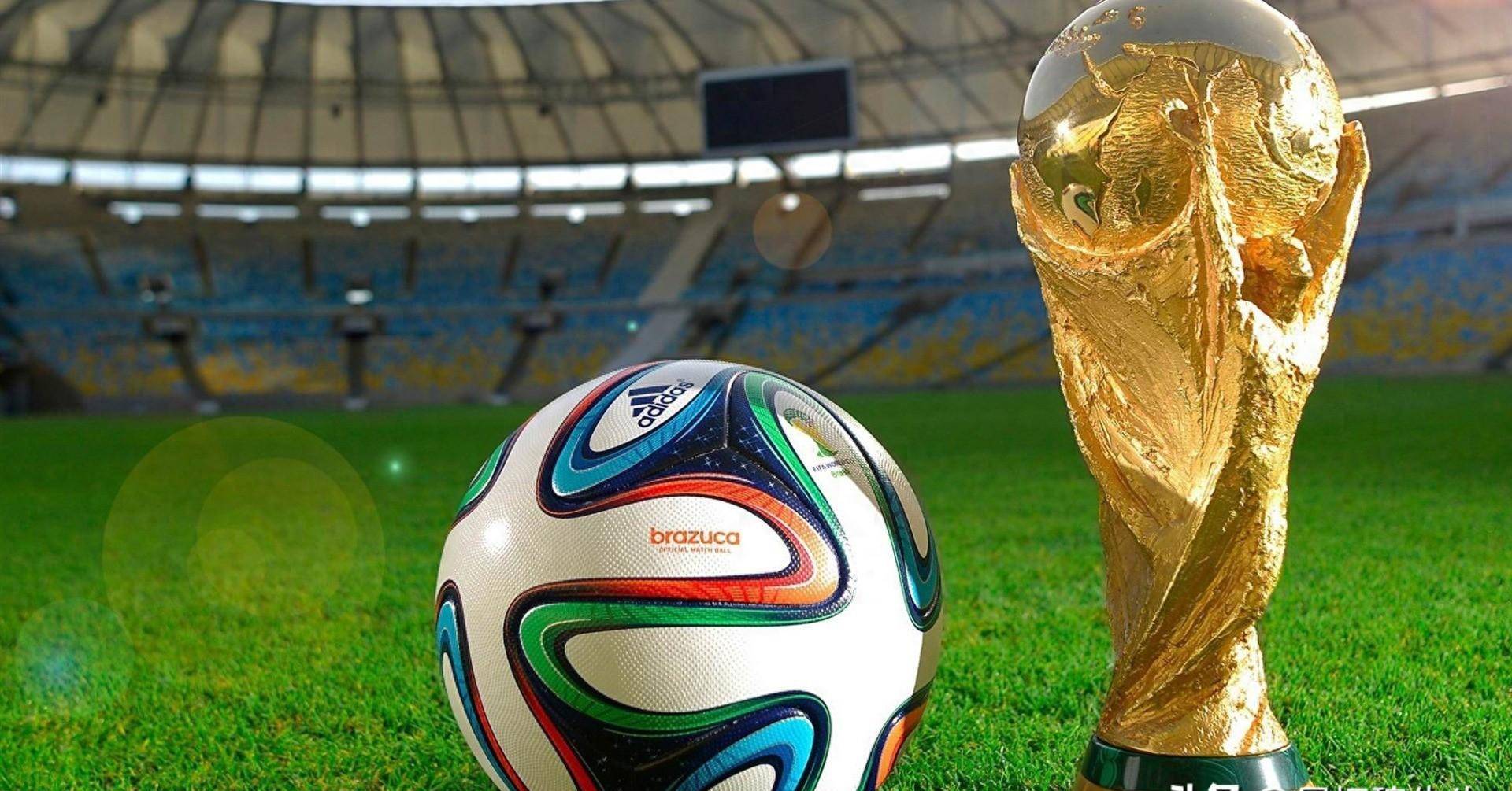 人员与赛程 人员与赛程